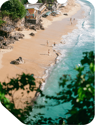 Tropical coast